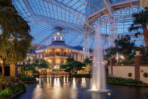GAYLORD OPRYLAND RESORT - Photo 8