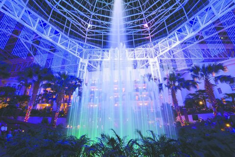 GAYLORD OPRYLAND RESORT - Photo 9