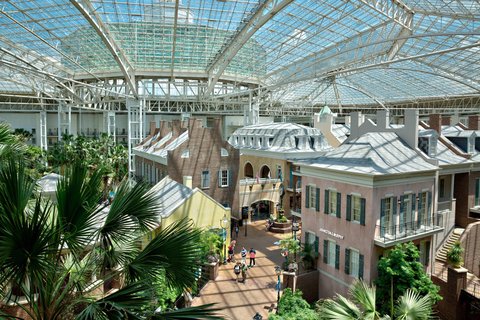 GAYLORD OPRYLAND RESORT - Photo 18