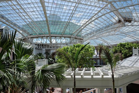 GAYLORD OPRYLAND RESORT - Photo 27