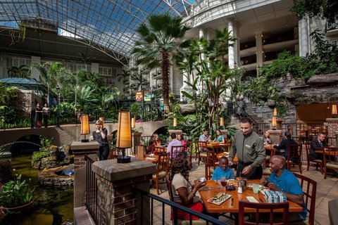 GAYLORD OPRYLAND RESORT - Photo 40