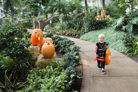 GAYLORD OPRYLAND RESORT - Photo 80