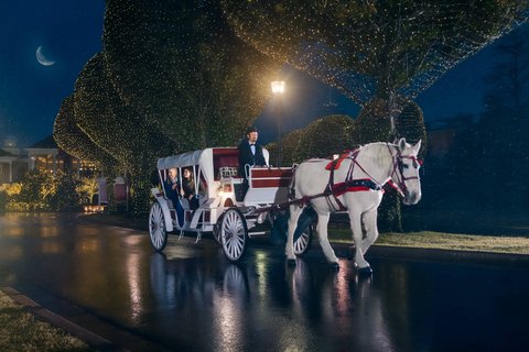 GAYLORD OPRYLAND RESORT - Photo 71