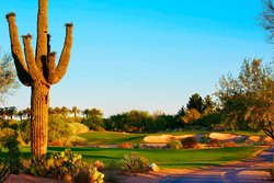  - JW Marriott Phoenix Desert Ridge Resort & Spa
