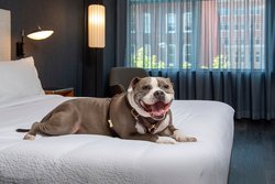  - Courtyard by Marriott Hotel Dupont Circle DC