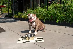  - Courtyard by Marriott Hotel Dupont Circle DC