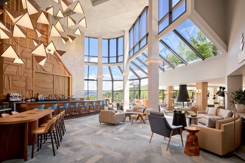 VIEWLINE RESORT SNOWMASS - Photo 43