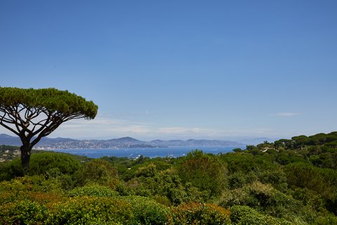 AIRELLES CHÂTEAU DE LA MESSARDIÈRE - Photo 5