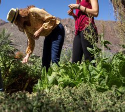  - Castle Hot Springs Resort