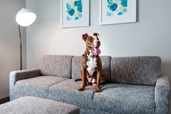  - TownePlace Suites by Marriott Buffalo Airport Cheektowaga