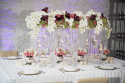  - EB Hotel Miami Springs