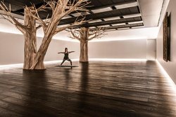  - Hotel at Midtown Chicago - I-90 & I-94, Exit 47