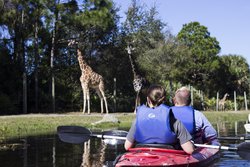  - Avid Hotel Melbourne - I-95, Exit 191