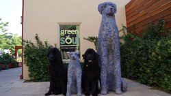  - Chestnut Hill Hotel Philadelphia