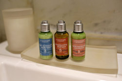  - Chestnut Hill Hotel Philadelphia