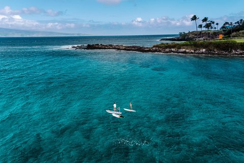 THE RITZ-CARLTON KAPALUA - Photo 177