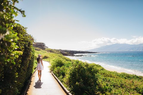 THE RITZ-CARLTON KAPALUA - Photo 199