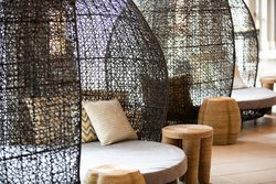  - Renaissance Tampa International Plaza Hotel