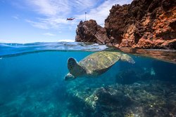  - Sheraton Maui Resort & Spa Kaanapali