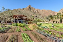  - Castle Hot Springs Resort