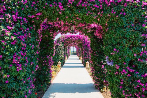 THE ST REGIS MARDAVALL MALLORC - Photo 16