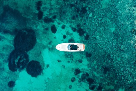 THE ST REGIS MARDAVALL MALLORC - Photo 145