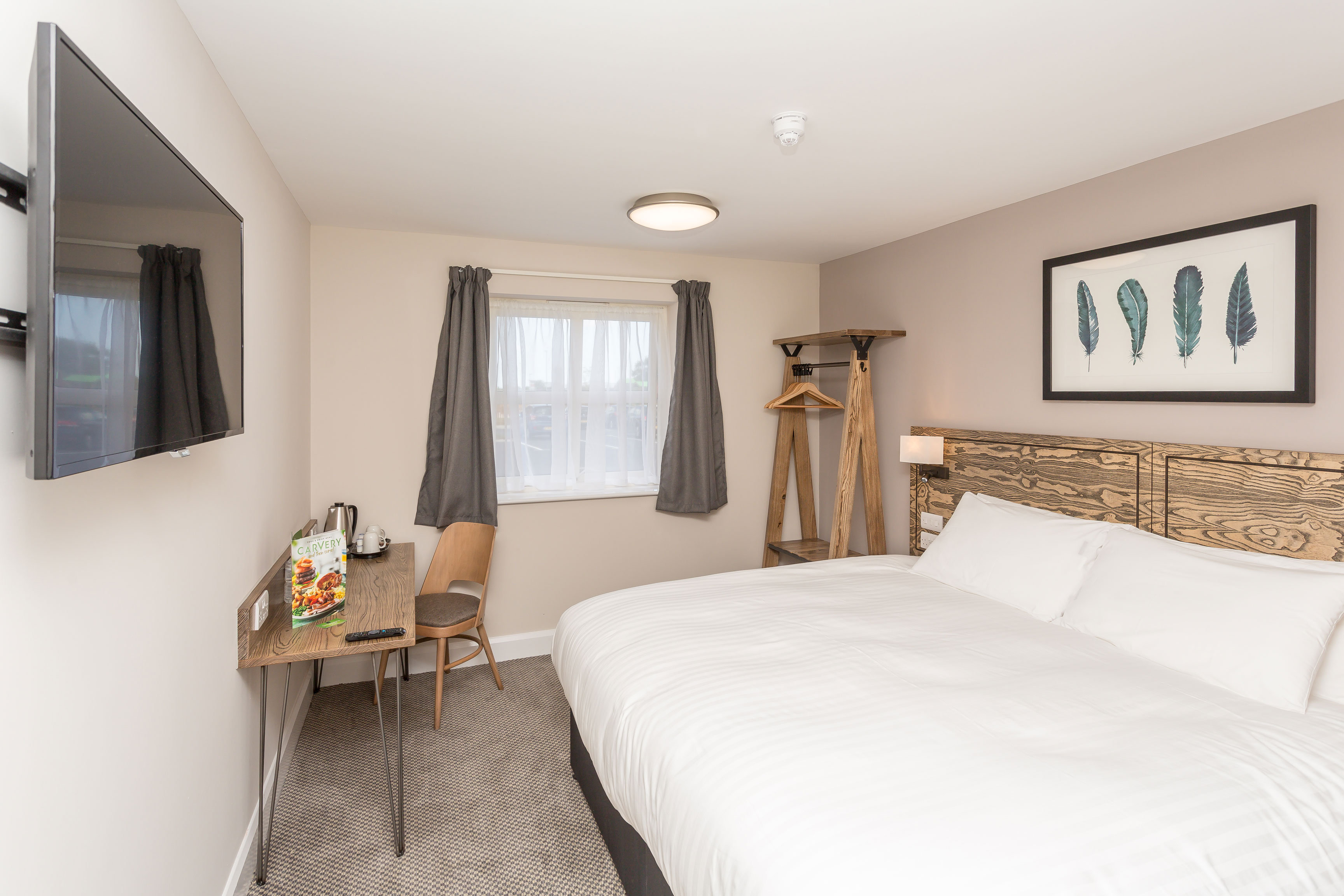 The Aviator prev Smuggler Cove-guestroom-Double Room.jpg