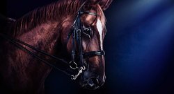  - Choctaw Casino & Resort Durant