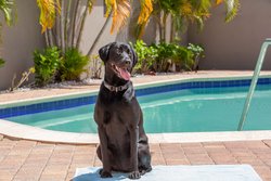  - Residence Inn by Marriott Oldsmar