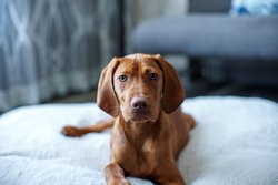  - Renaissance Hotel LAX Airport Los Angeles