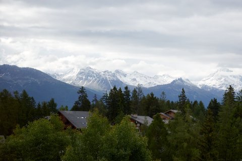 SIX SENSES CRANS MONTANA - Photo 8