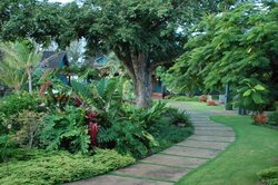  - Lumeria Maui Retreat Resort Makawao Maui