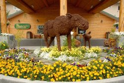  - Pikes Waterfront Lodge Fairbanks