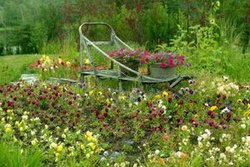  - Pikes Waterfront Lodge Fairbanks