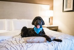  - Eastland Suites Hotel & Conference Center Bloomington