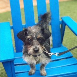  - Hotel del Sol San Francisco