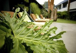  - Hotel Current Long Beach