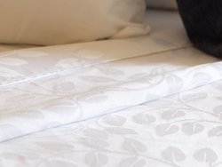  - GreenTree Inn & Suites Prescott Valley