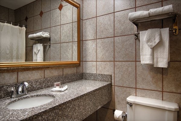 ALPINE INN AND SUITES-guestroom-Bathroom.jpg