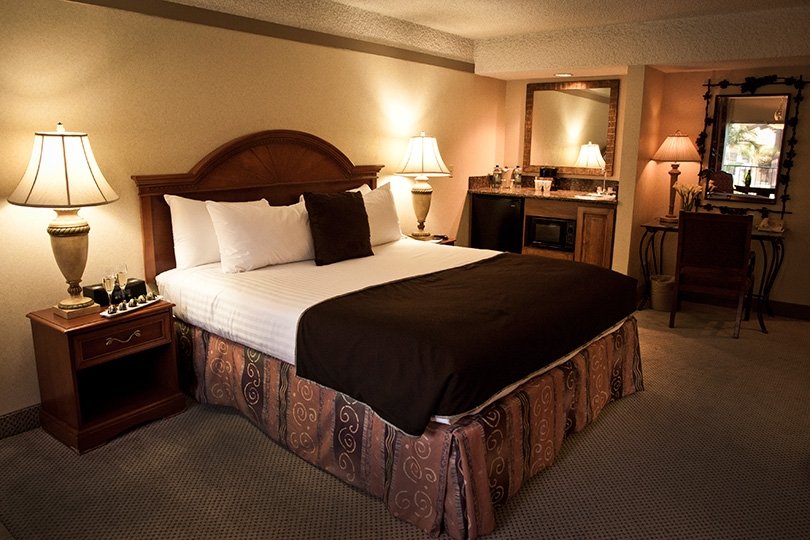 ATRIUM HOTEL ORANGE COUNTY AIR-guestroom-Atrium king.jpg
