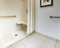  - Phoenix Inn Suites Albany - I-5, Exit 233