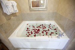  - Platinum Hotel & Spa Las Vegas - I-15, Exit 38