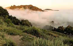  - FogCatcher Inn Cambria