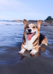  - FogCatcher Inn Cambria