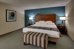 - GreenTree Hotel Hobby Airport Houston - I-45, Exit 36