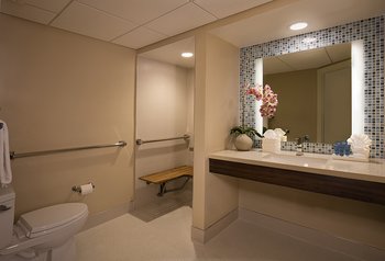 Mobility Accessible Guest Room Bathroom