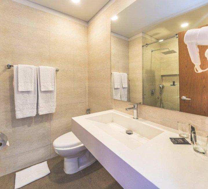 HOTEL ANDES PLAZA-guestroom-Bath.jpg