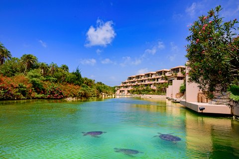 SHIGIRA BAY SUITE ALLAMANDA - Photo 5
