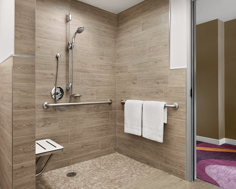 Accessible Roll-in Shower