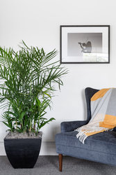  - Elwood Hotel Downtown Lexington